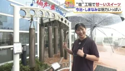 [Lovely Ehime Stroll] Strolling through the islands of Imabari City ahead of the autumn travel se...
