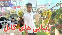 واوا شیریخ چاریکار در کابل با مکان زیبا