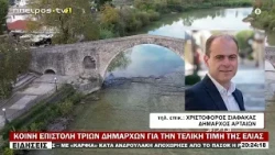 ΚΟΙΝΗ ΕΠΙΣΤΟΛΗ ΤΡΙΩΝ ΔΗΜΑΡΧΩΝ ΓΙΑ ΤΗΝ ΤΕΛΙΚΗ ΤΙΜΗ ΤΗΣ ΕΛΙΑΣ
