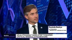 Budrys: NATO Must Boost Deterrence After Drone Incidents