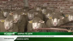 Централна емисия новини на Агро ТВ: Румъния започна ваксинация срещу шарката по овцете и козите