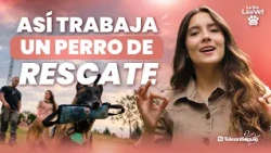 Rescue dogs: this is how four-legged heroes are trained | Dr. Lauvet | Teleantioquia