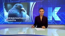 Kaliningrad News — Daily Roundup, September 16, 2026 Kaskad TV