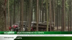 ВЪЗСТАНОВЯВАНЕ НА ГОРИТЕ: Човечеството да обърне внимание на биоразнообразието и климата