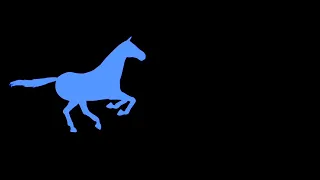 Muybridge TV intro