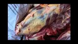 Өңірден Астанаға 200 тоннадан астам ауыл шаруашылығы өнімі жеткізілді