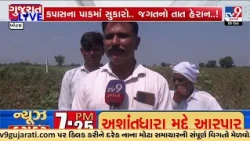 Cotton Crop Fails in Botad, Farmers Seek Immediate Government Aid | TV9Gujarati