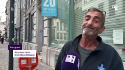 Des chiens de refuge en balade à Bruxelles pour encourager l’adoption