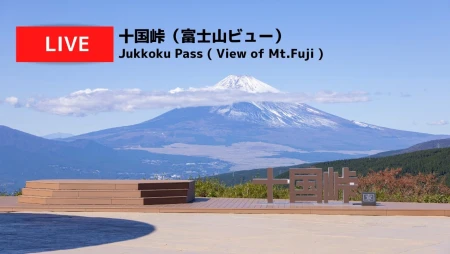 Hakone - Jukkoku Pass - Mount Fuji View