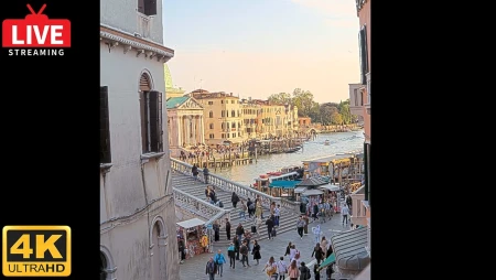 Live on Scalzi Bridge, Venice