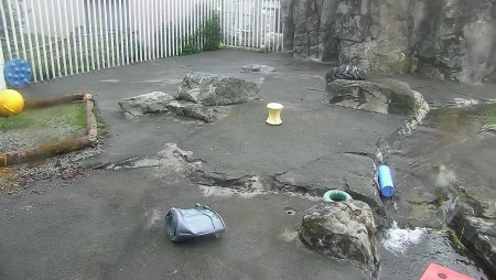 Alaska Zoo Polar Bear Habitat